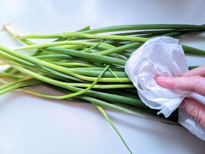 『万能ねぎ』そのまま冷凍するの待って！パラパラのまま保存するための正解を検証してみた。