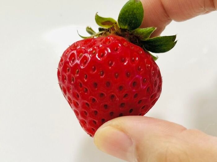 甘いのはどっち？美味しい『いちご』の選び方。正解のパックを選べるようになりますよ♪