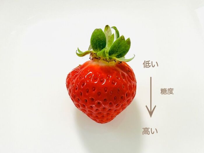 甘いのはどっち？美味しい『いちご』の選び方。正解のパックを選べるようになりますよ♪