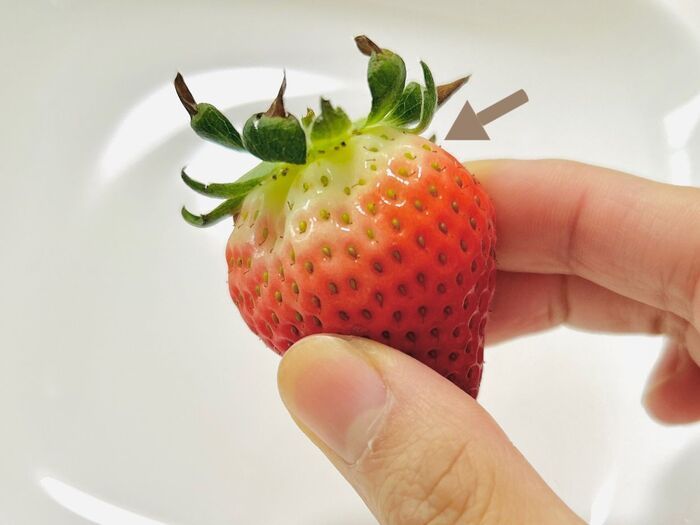 甘いのはどっち？美味しい『いちご』の選び方。正解のパックを選べるようになりますよ♪