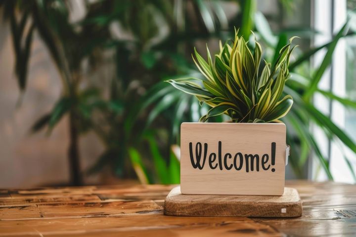 玄関 良縁 観葉植物