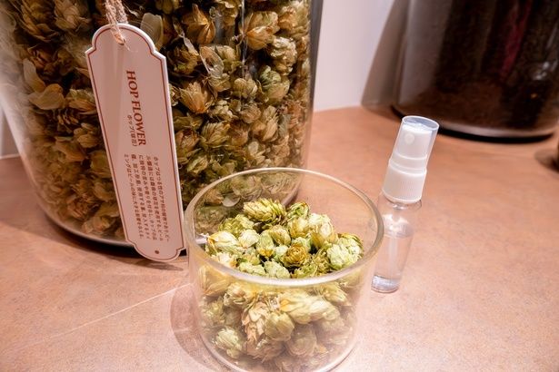 ビール特有の香りや苦味を出すために欠かせないホップ。スプレー噴射で、さわやかな香りが体験できる