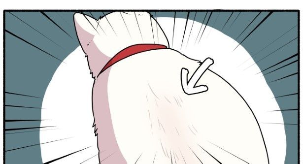 ミコさんがハゲてしまった話_P02 久川はる(@hisakawa_haru)