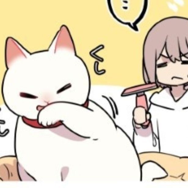 【衝撃の事実！】毛繕いが下手な猫なんているのか…！ 久川はる(@hisakawa_haru)