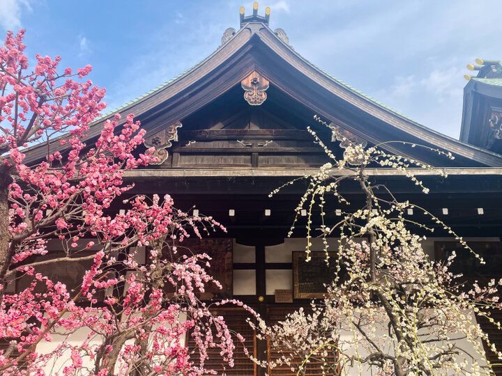 天神橋筋商店街のそばにある梅スポット♪ 梅モチーフの授与品も見つかる「大阪天満宮」