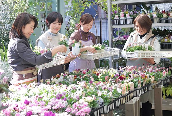 【大阪府八尾市】植物教室グリーンオフィスベルデが25周年展示会開催。寄せ植え技法のワークショップも