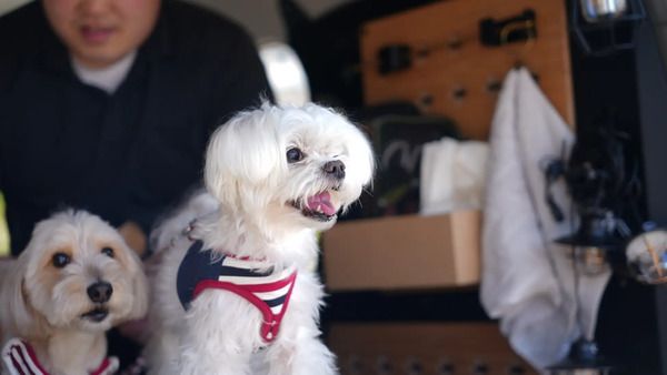 【千葉県千葉市】車内をカスタマイズできる「tac・luc」登場！ジャパンキャンピングカーショーに出展