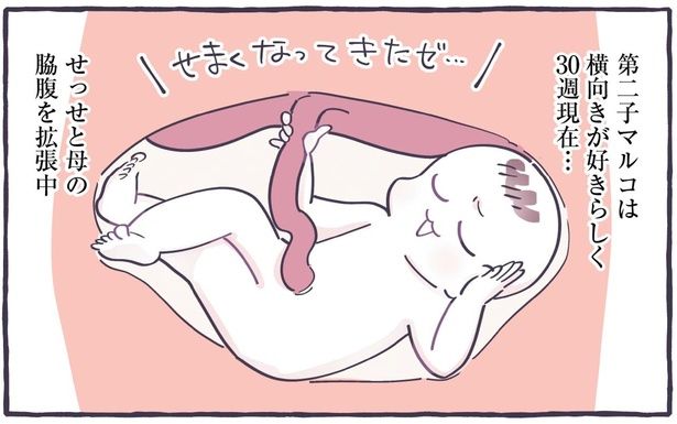 せっせと母の脇腹を拡張中 （C）るしこ／KADOKAWA