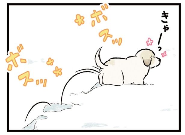真っ白な雪にテンション爆上がり！ お散歩中の犬たちが可愛すぎる （C）今日のルンルン、黒羽沙乃／KADOKAWA