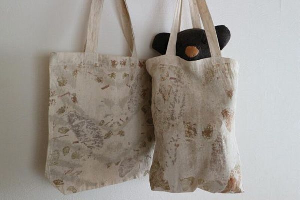 【大阪府大阪市】鶴見区の植物園「咲くやこの花館」にて企画展「カカオとコーヒー展」今年も開催中