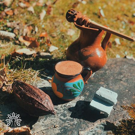 【大阪府大阪市】鶴見区の植物園「咲くやこの花館」にて企画展「カカオとコーヒー展」今年も開催中