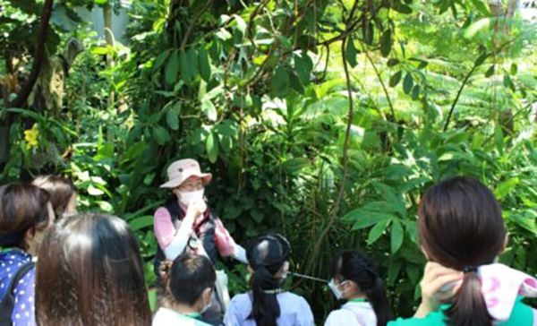 【大阪府大阪市】鶴見区の植物園「咲くやこの花館」にて企画展「カカオとコーヒー展」今年も開催中