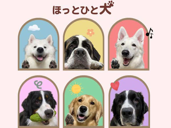【東京都江戸川区】推しワンズと過ごすロマンチックな夜！大型犬カフェ ほっとひと犬のバレンタイン企画