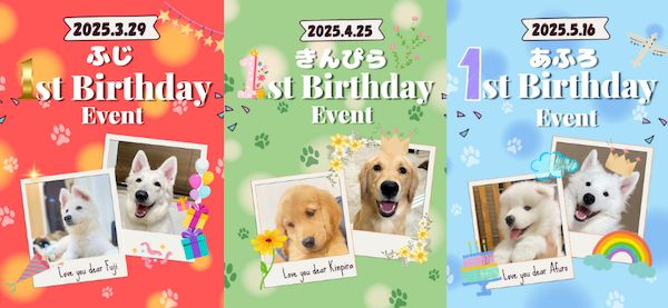 【東京都江戸川区】推しワンズと過ごすロマンチックな夜！大型犬カフェ ほっとひと犬のバレンタイン企画