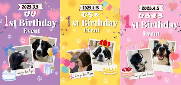 【東京都江戸川区】推しワンズと過ごすロマンチックな夜！大型犬カフェ ほっとひと犬のバレンタイン企画