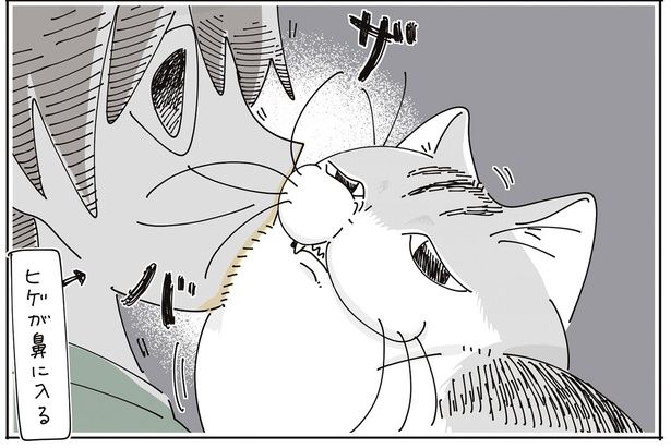 スキンシップ （C）キュルZ／KADOKAWA