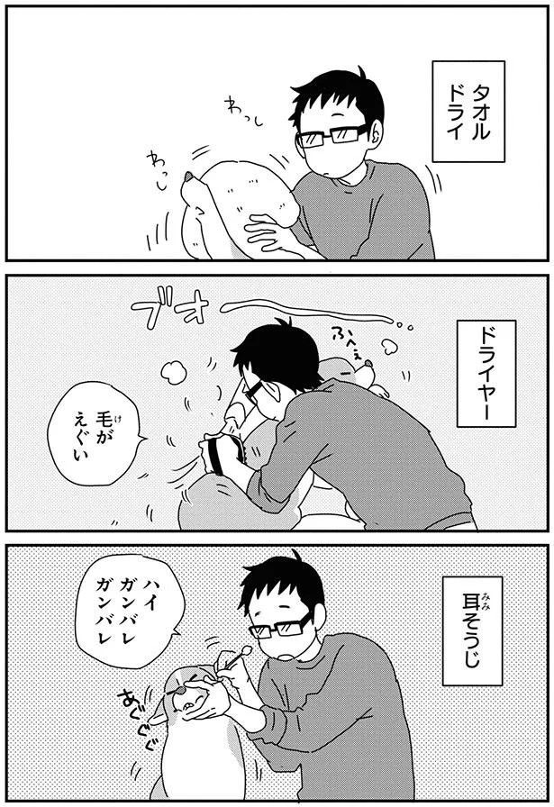 ハイ ガンバレガンバレ (C)らくだ／KADOKAWA