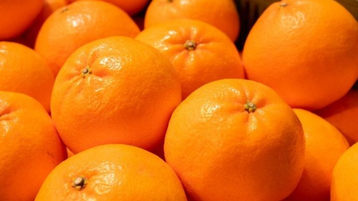 佐賀県が20年という歳月をかけて生み出した、オリジナル柑橘「にじゅうまる（品種名：佐賀果試35号）」。 この名前、お店で見たことがある方もいるのではないでしょうか？