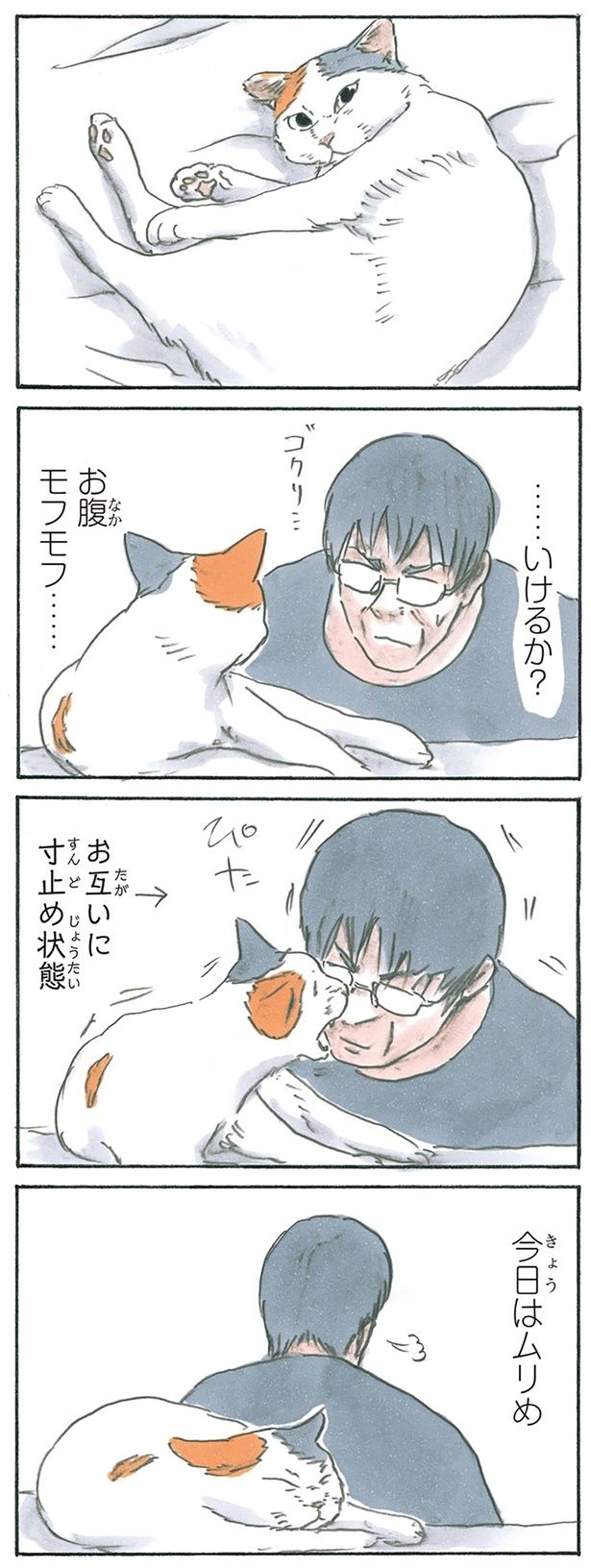 モフモフチャレンジ （C）にごたろ／KADOKAWA