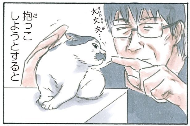 抱っこしようとすると （C）にごたろ／KADOKAWA