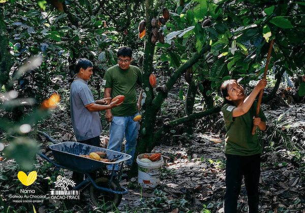 バレンタインに“支援につながるチョコ”を。ナマガトーショコラが「#キフチョコ」参加