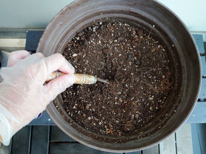 しっかり混ぜ混ぜして、植替え時に使います