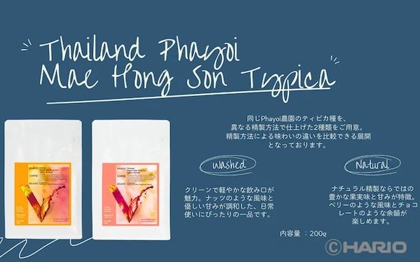 パナマ産ゲイシャやタイ産の個性を愉しむ。HARIOから厳選コーヒー豆3種が新発売