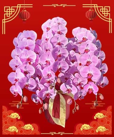 お花と手作り石鹸で春を楽しむ。胡蝶蘭専門店「らんや」がひな祭りワークショップ開催