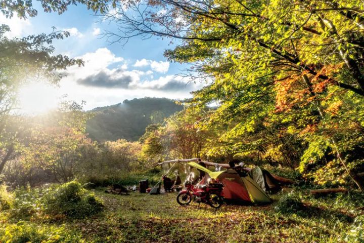 小板まきばの里 - 自然豊かなオートサイト