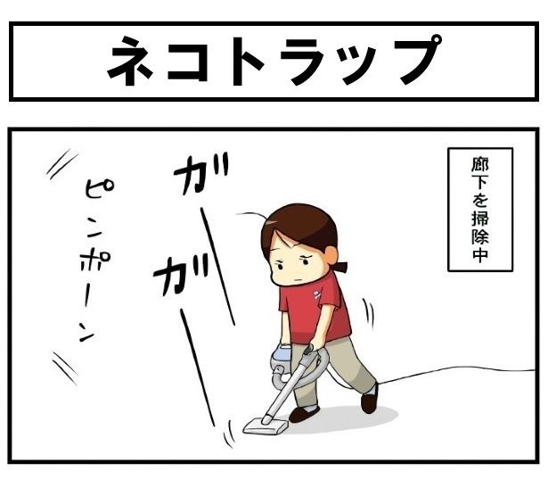 宅配便が届いた！ もちこ(@mogutchecho)