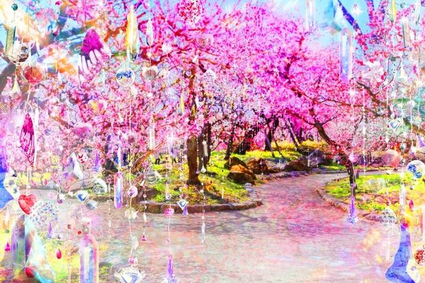 梅苑《光と花の庭》※写真はイメージ