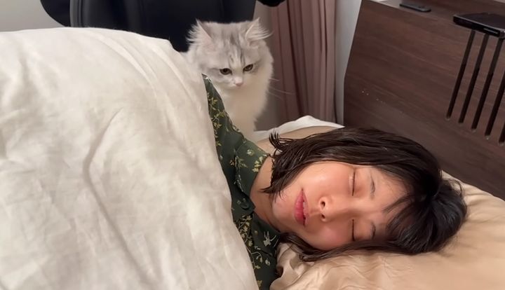 ママのベッドに来た子猫