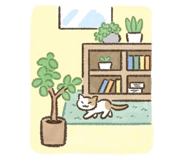 観葉植物を置く イラスト／イケマリコ