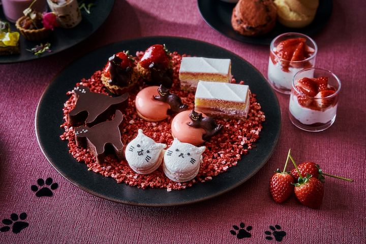 グランド ハイアット 東京 ストロベリー＆キャット アフタヌーンティー スイーツ