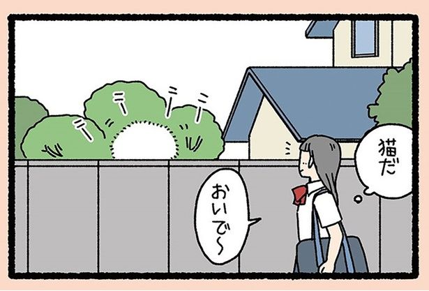 猫だ （C）ぱんだにあ／竹書房