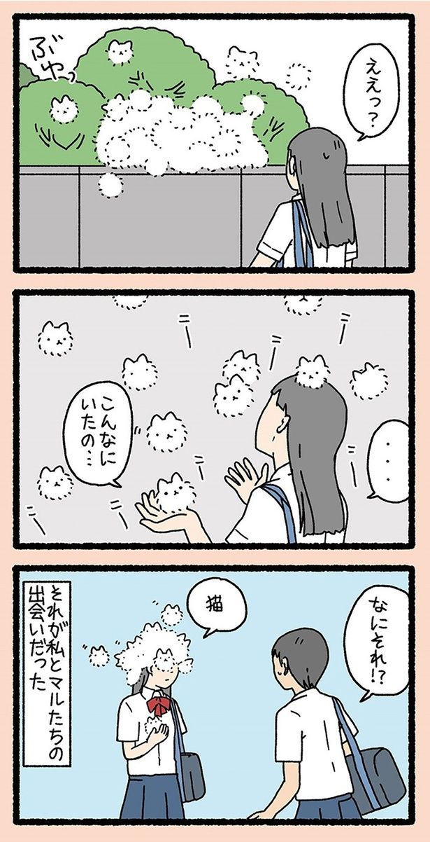 こんなにいたの… （C）ぱんだにあ／竹書房