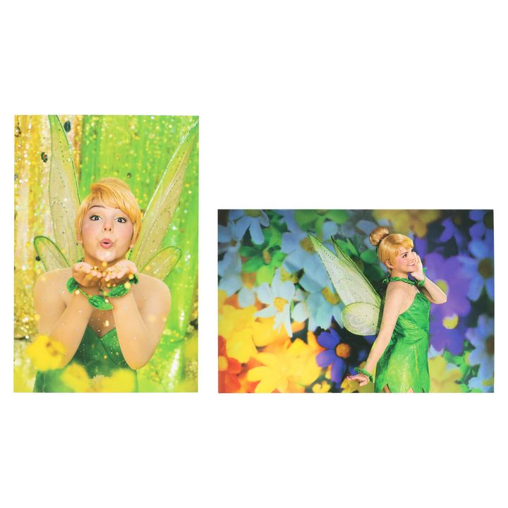 「ピーター・パン」たちの冒険を蜷川実花が鮮やかに写し出したポストカードセット