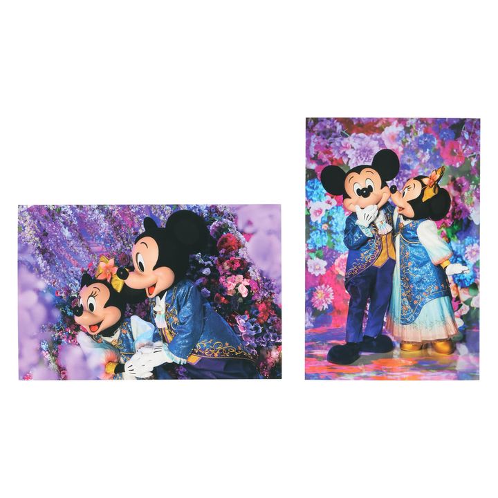 「ミッキーマウス」たちがファンタジースプリングスの魔法に包まれるポストカードセット