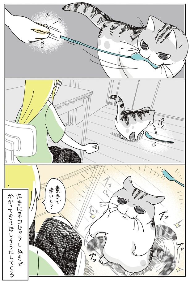 素手で来いと？ （C）キュルZ／KADOKAWA