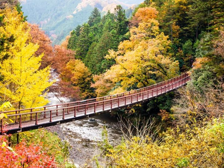 All About ニュース編集部が全国250人を対象に実施した「ふるさと納税」に関する独自のアンケート調査を実施。東京都の市（23区以外）で「ふるさと納税の返礼品が魅力的」と思う市で1位に選ばれたのは？