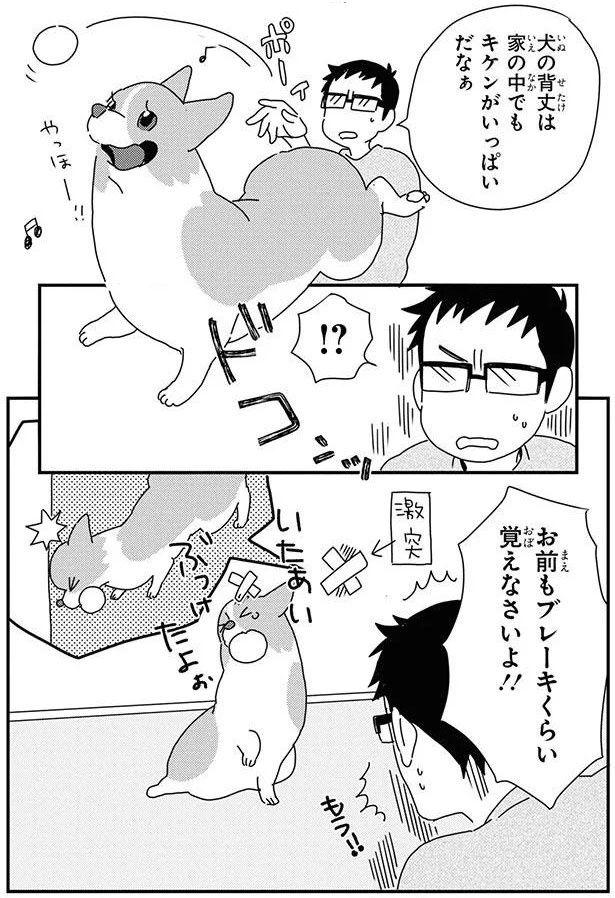 お前もブレーキくらい覚えなさいよ！！ (C)らくだ／KADOKAWA