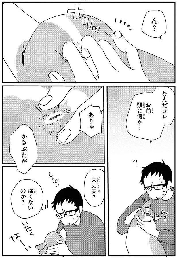 大丈夫？痛くないのか？ (C)らくだ／KADOKAWA