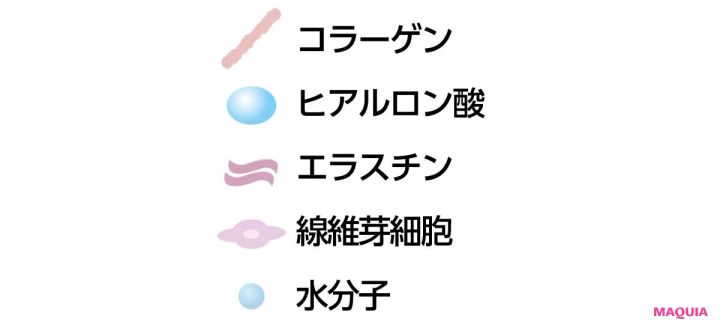 プロテオグリカンの構成要素