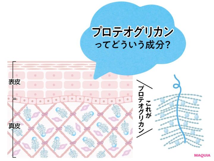 【次世代美容成分】プロテオグリカンとは？重要性や取り入れ方を小田ユイ子さんが取材！