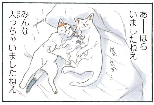 みんな入っちゃいましたねえ （C）にごたろ／KADOKAWA