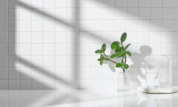 トイレ 良縁を引き寄せる 観葉植物