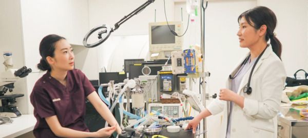 健康ケアに特化したねこ用おやつ「ピュアピューレ リフレッシュケア」リニューアル！