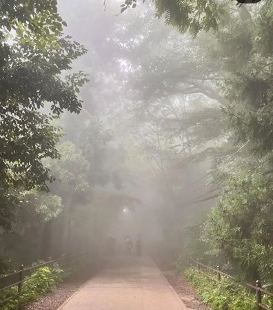 八王子Craft liqueurのクラフトジンが、「The Gin Masters 2025」でゴールドを獲得