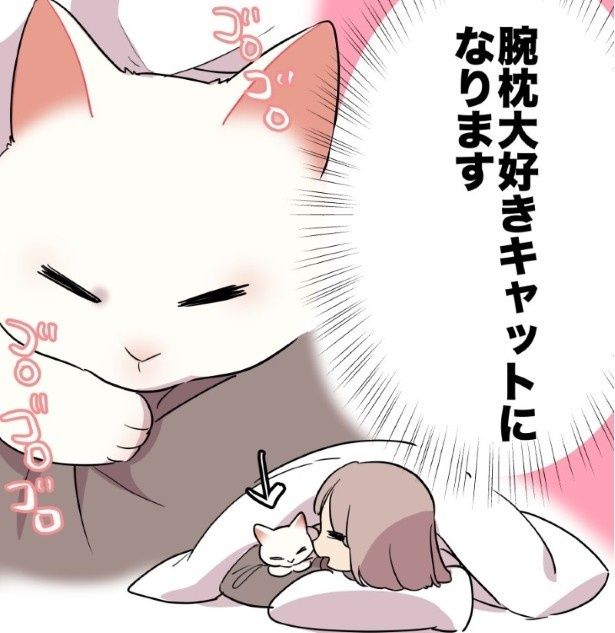 腕枕猫！かわいすぎる!! 久川はる(@hisakawa_haru)