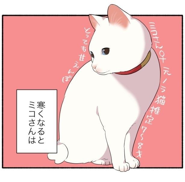 寒いのが嫌いな猫たちが要求してくるものとは…？ 久川はる(@hisakawa_haru)